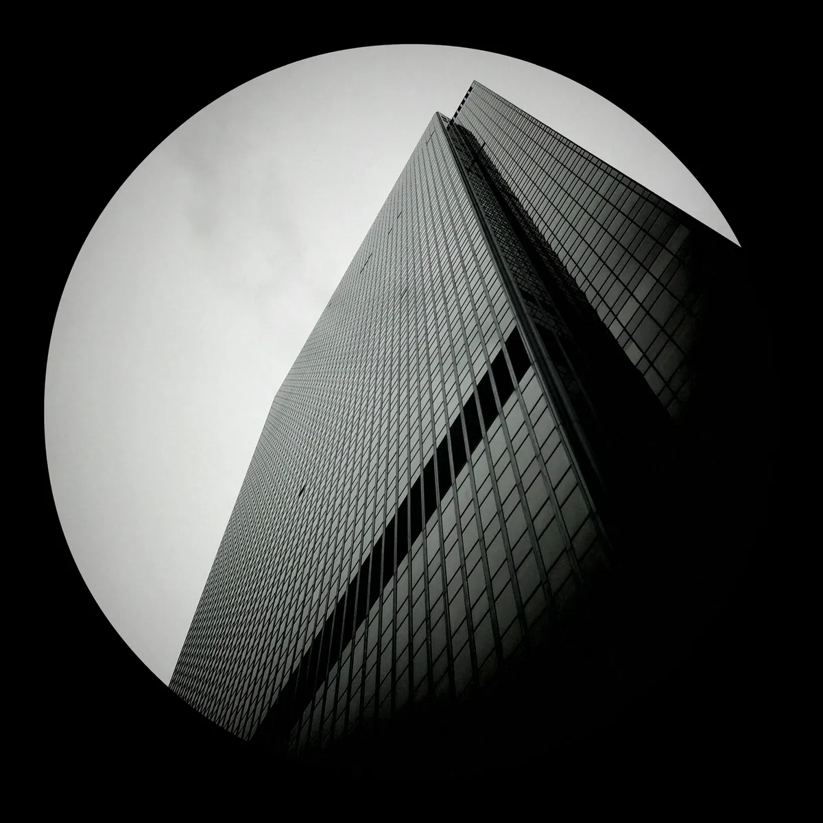 New York Noir, photograph 3 of 5
